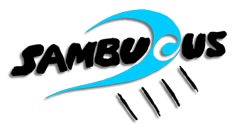 perkussion projekte sambucus trommelschule 